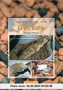 Vermehrung von Geckos: Grundlagen, Anleitungen und Erfahrungen zur erfolgreichen Zucht